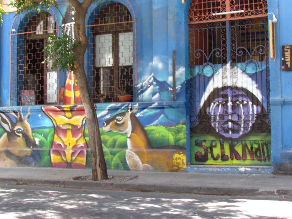 Origenes Hostel Santiago de Chile Zewnętrze zdjęcie